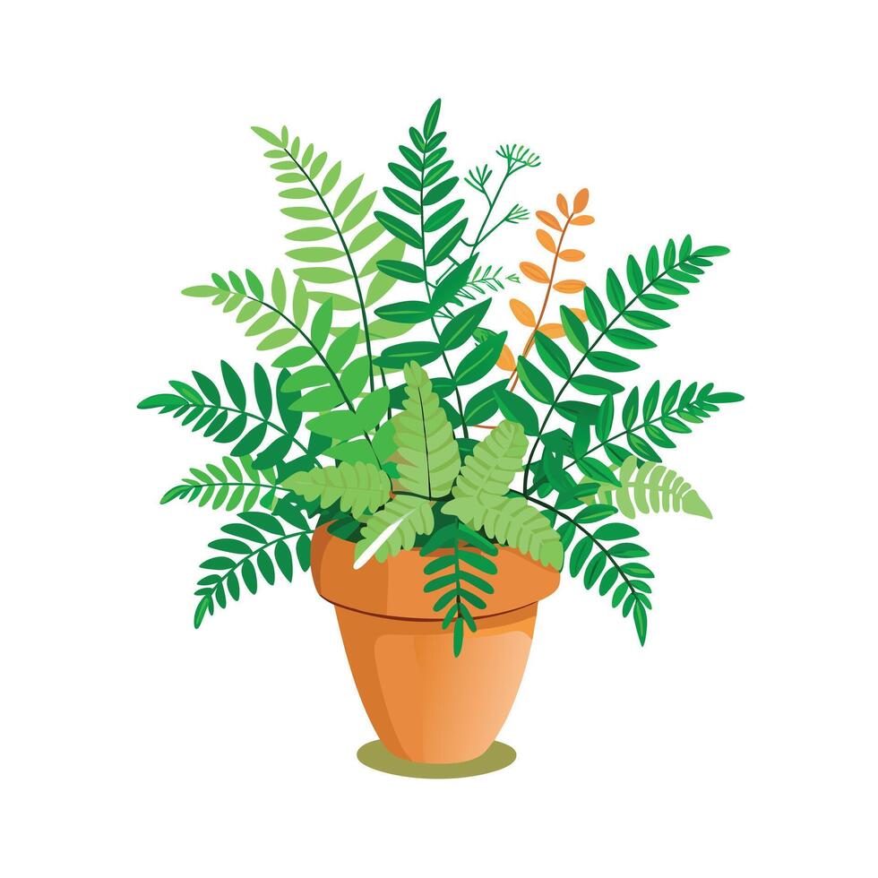 Flowerpot Houseplant Illustration vector