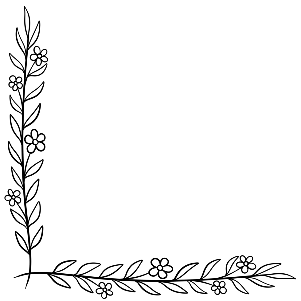 isolated doodle handdrawn botanical corner png