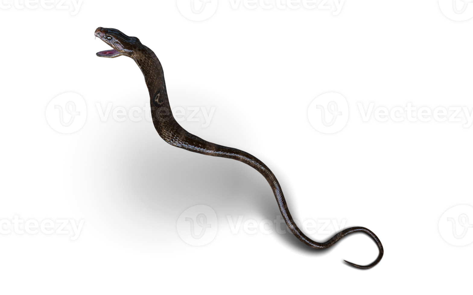 Close-Up Of 3d Illustration King Cobra Snake Attack Pose Isolated Background. png