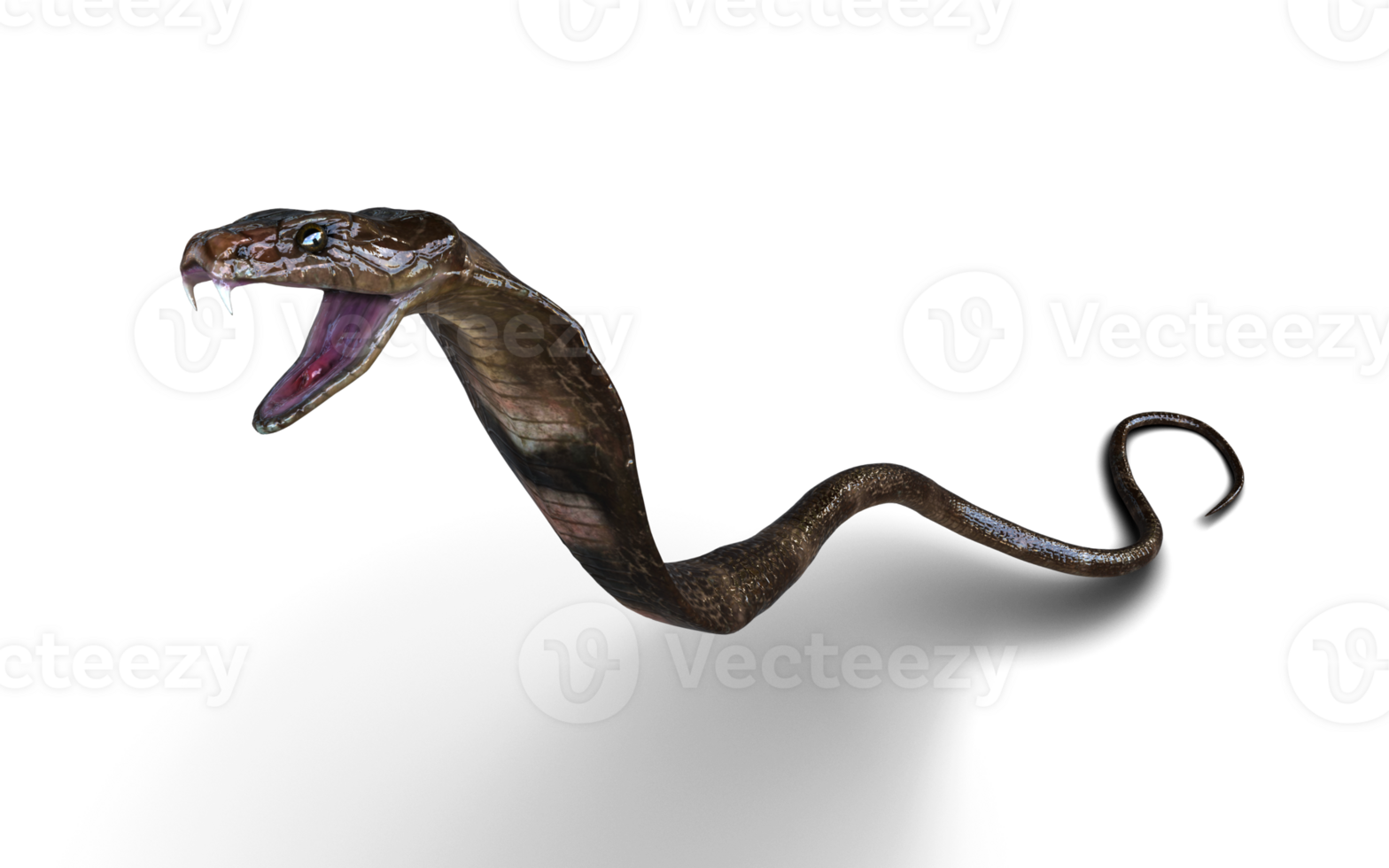Close-Up Of 3d Illustration King Cobra Snake Attack Pose Isolated Background. png