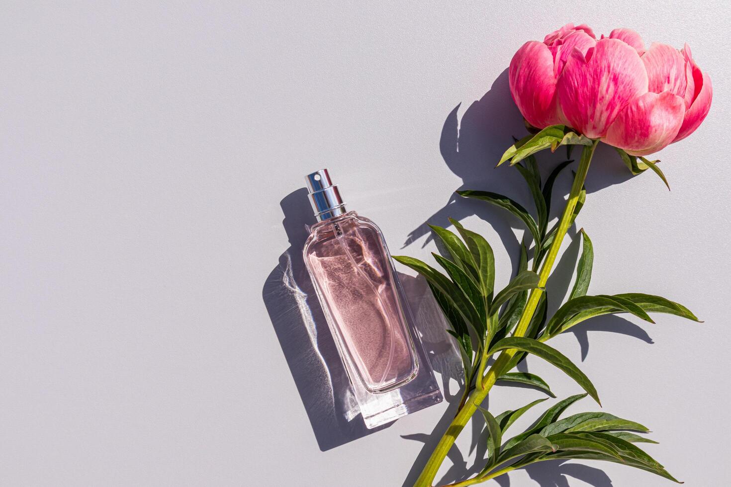 A chic bottle of cosmetic spray, perfume, eau de parfum on a light background with delicate live peonies. A blank bottle mockup. photo