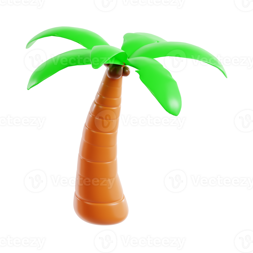 coconut tree 3d icon, transparent background png