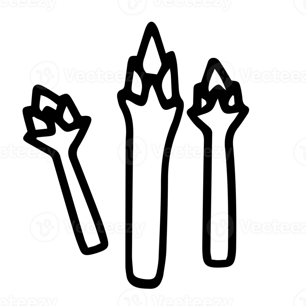 Cute Doodle Outline asparagus png