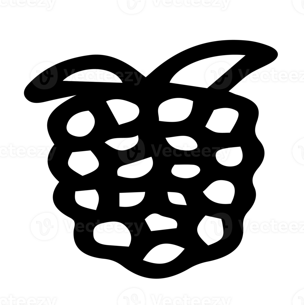 Cute Doodle Outline Raspberry png