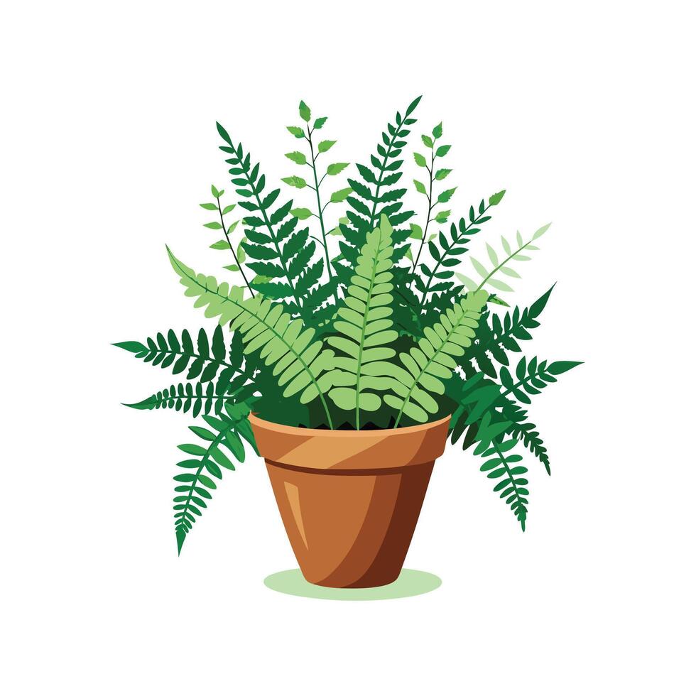 Flowerpot Houseplant Illustration vector
