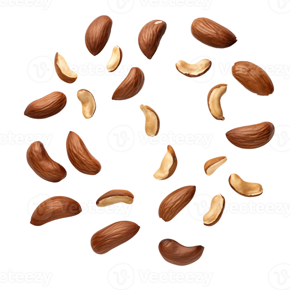 Falling Brazil nuts with Transparent Background png