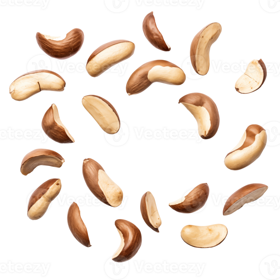 Falling Brazil nuts with Transparent Background png