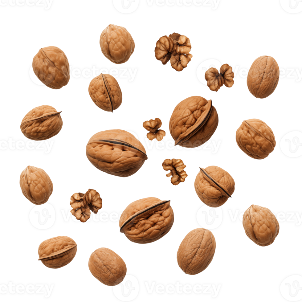 Walnut falling or flying with Transparent Background png