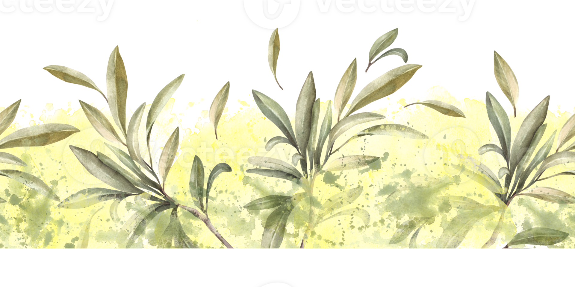 Olive tree branch, without fruit with green leaves on watercolor stains, brush stroke background. Botanical floral seamless border, pattern. Hand drawn nature illustration for label, packing. Isolated png