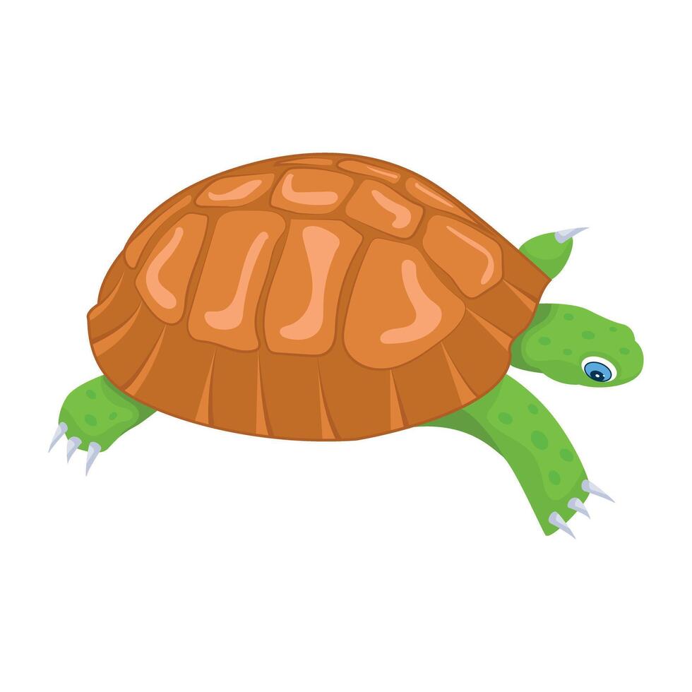 An icon of pleurodira in flat style vector