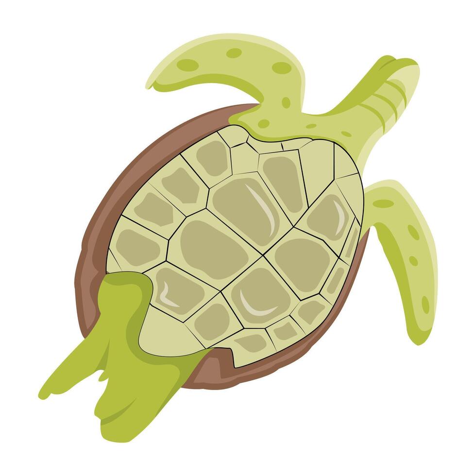 WAn icon of sea chelonian in flat style eb vector