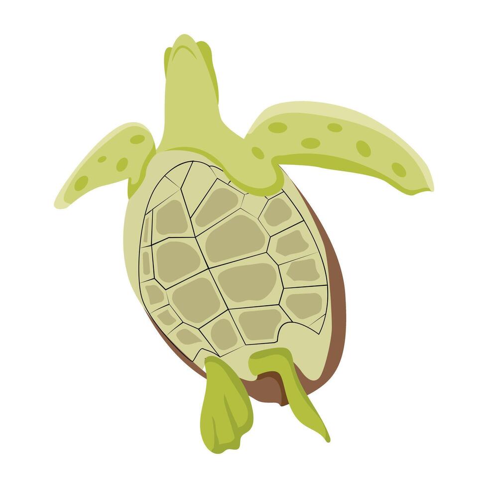 WAn icon of tortoise designed in flat style eb vector