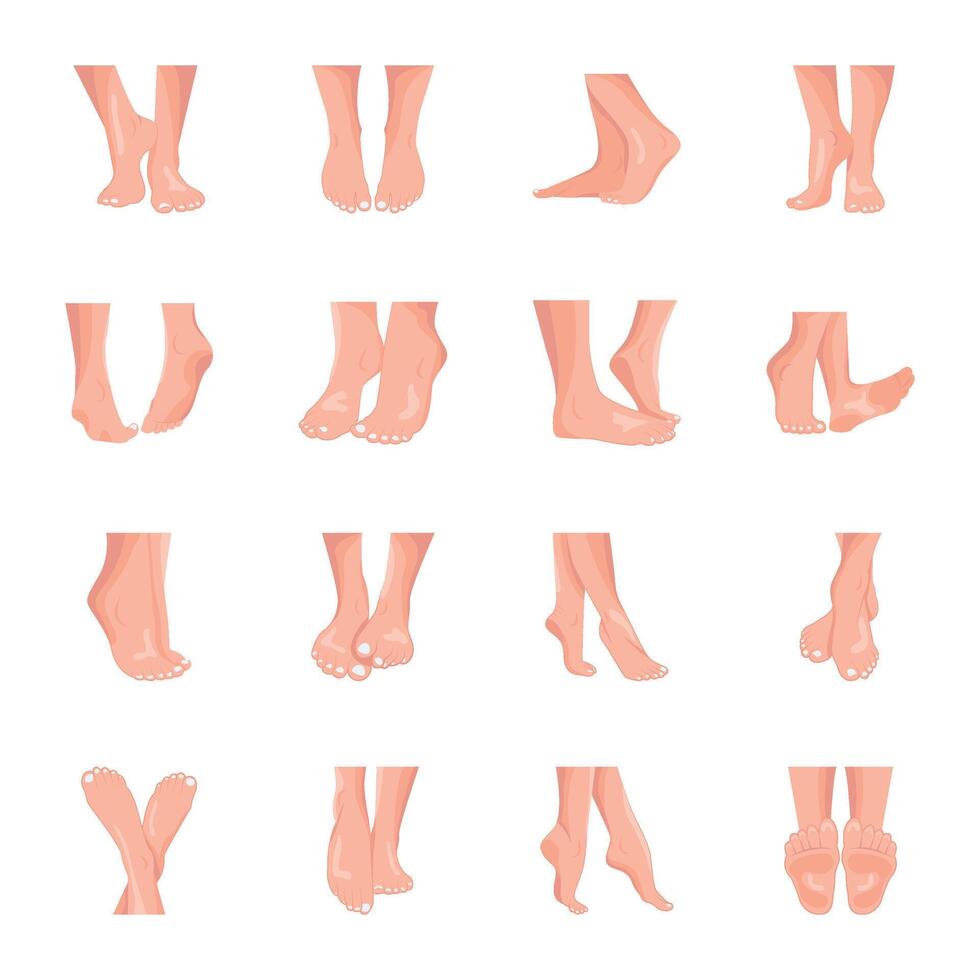 WebBundle of Ladies Feet Flat Icons vector