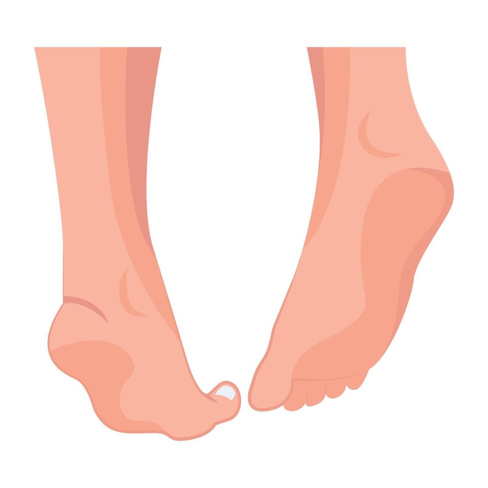 WebAn icon of girl soles in flat style vector