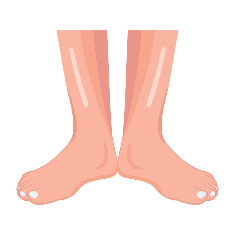 WebA flat icon depicting soft feet vector