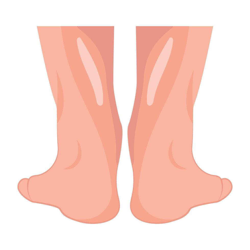 WebAn icon of woman feet in flat style vector