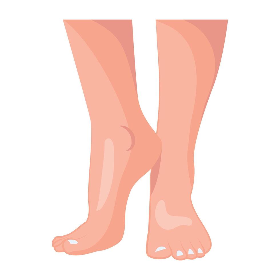 WebAn icon of female toes in flat style vector