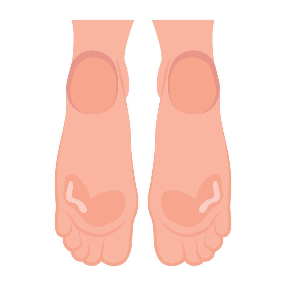 WebA flat style icon of woman soft soles vector