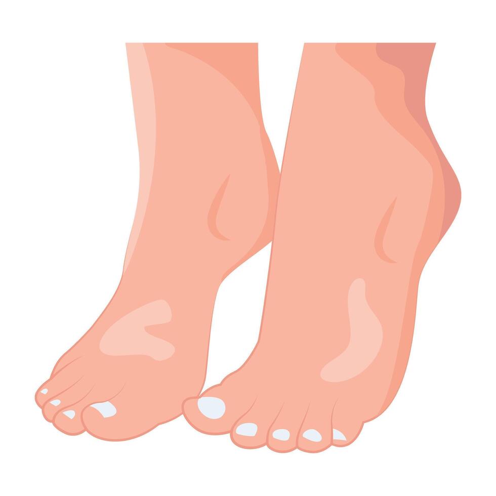 WebA flat style icon depicting woman beautiful feet vector