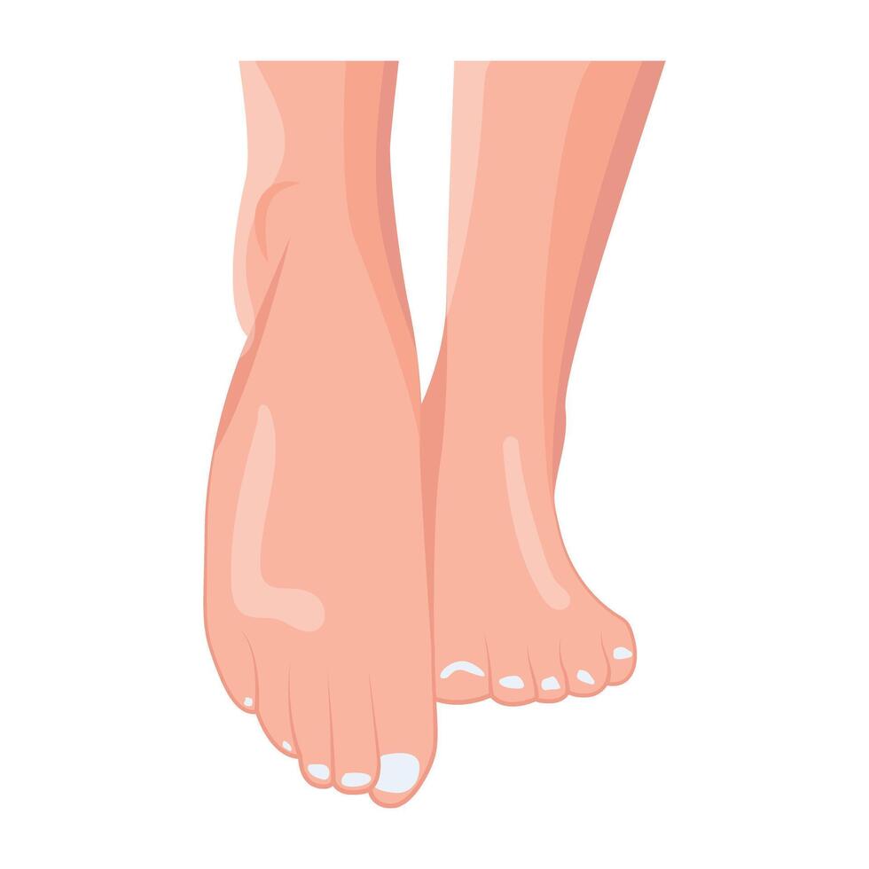 WeWoman feet icon designed in flat style b vector