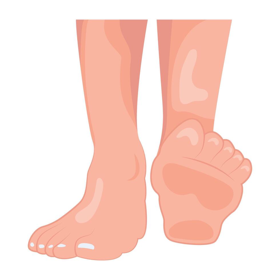WebA flat style icon of lady feet vector