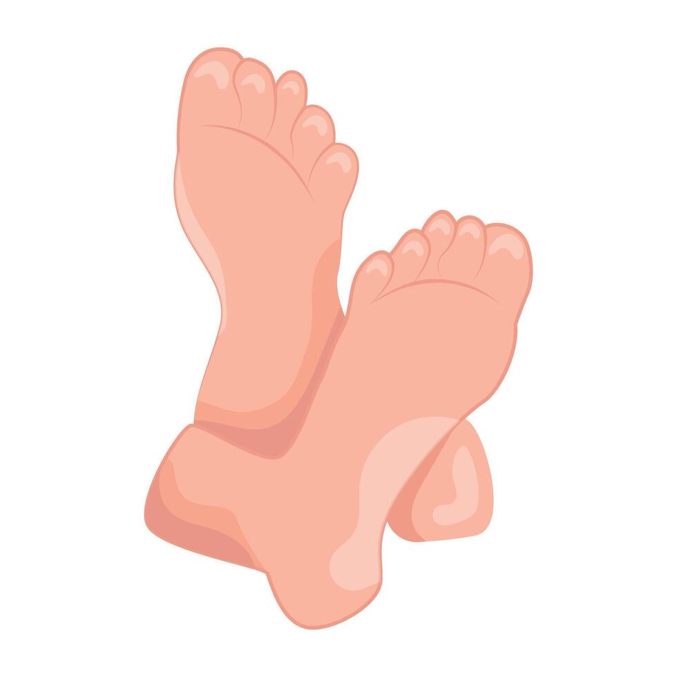 WebA flat style icon of woman soles vector