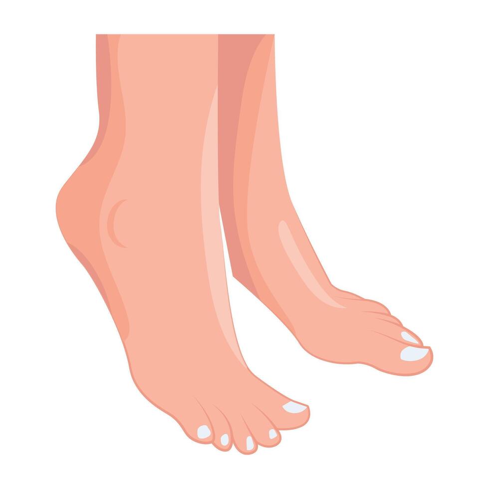 WebAn icon of woman toes in flat style vector