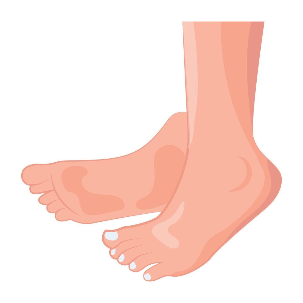 WebThis flat style icon showing lady feet vector