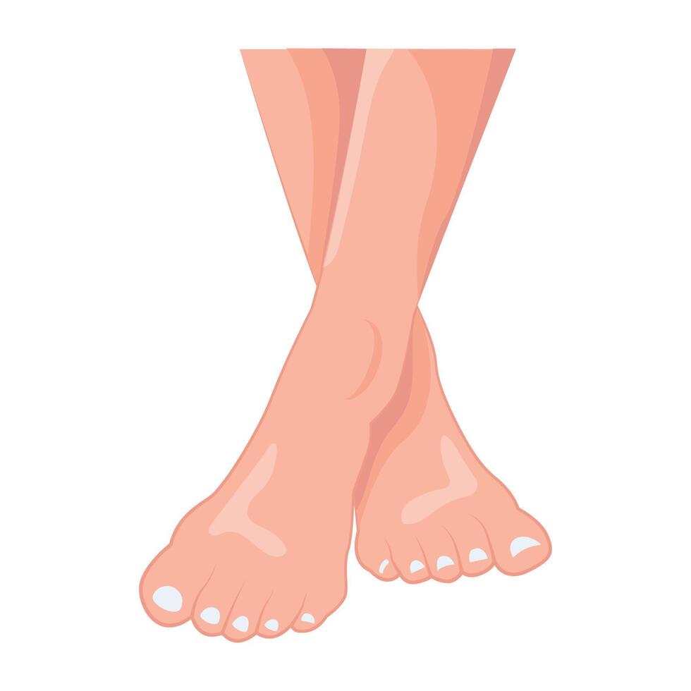 WebA flat style icon of human feet vector