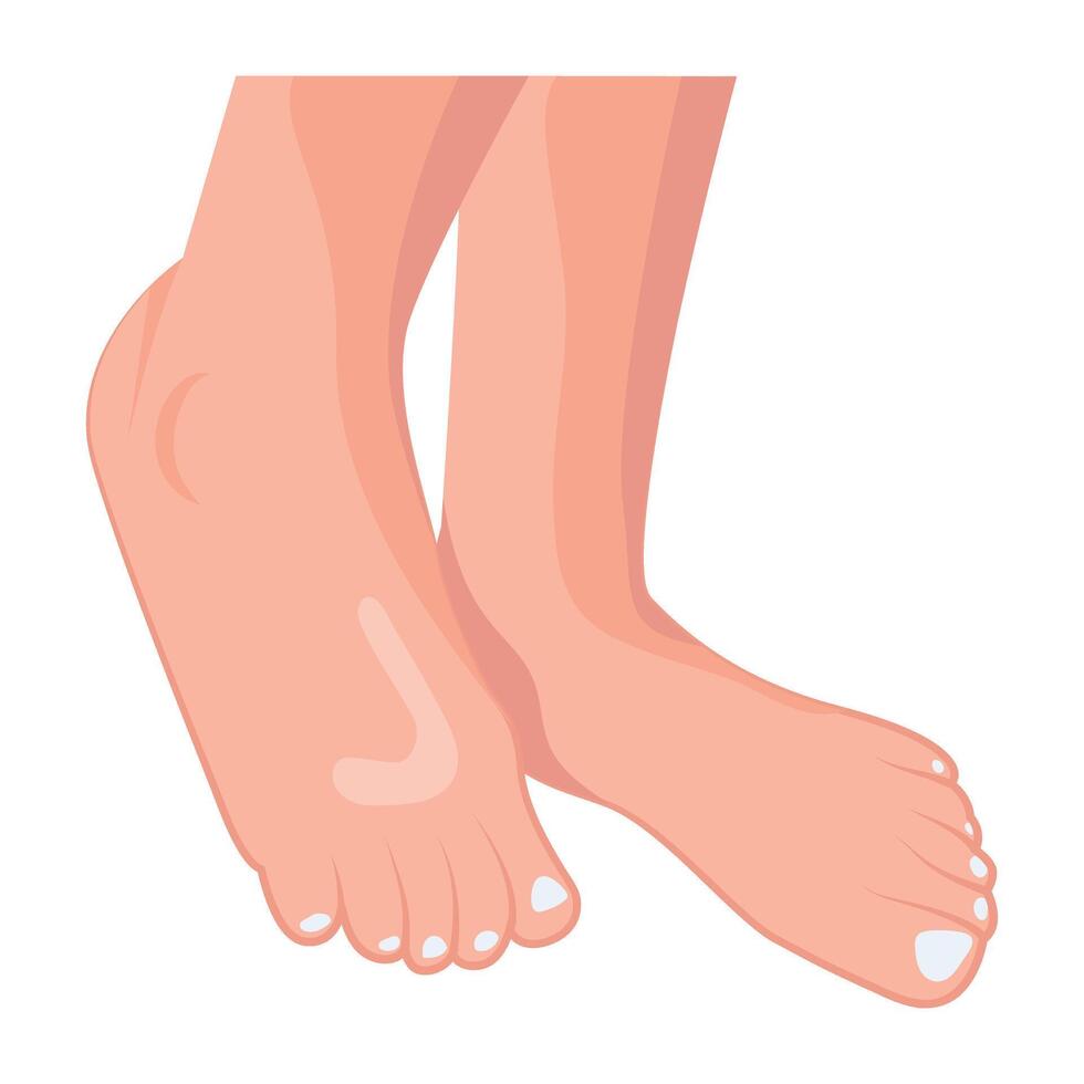 WeA flat style icon of human feet b vector
