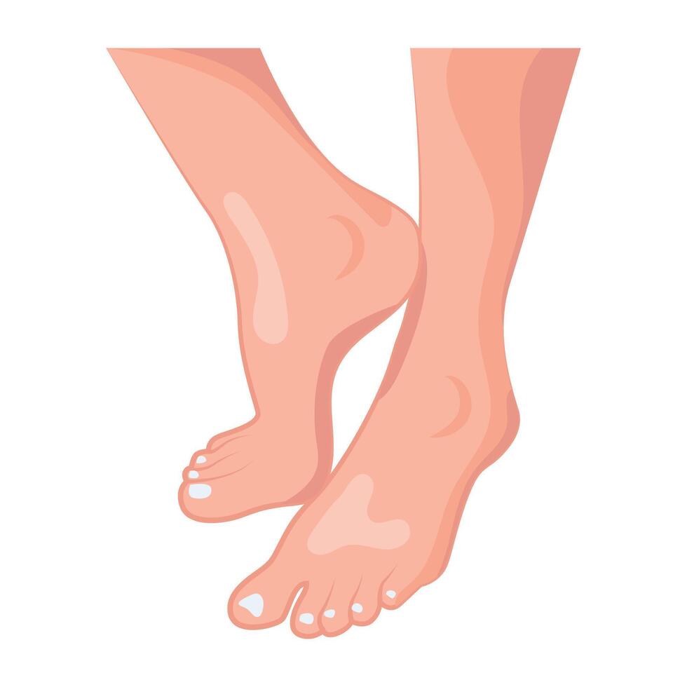 WebFlat icon depicting beautiful female feet vector