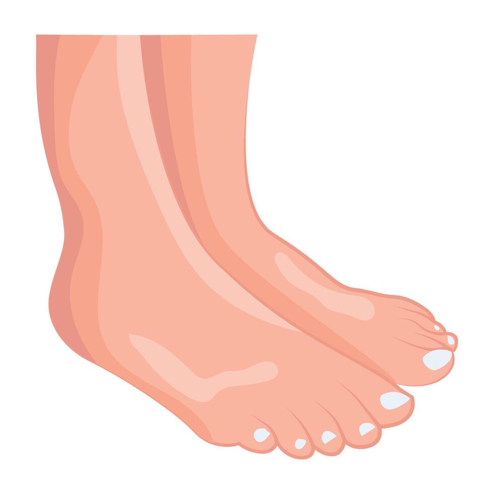 WebAn icon of human feet in flat style vector