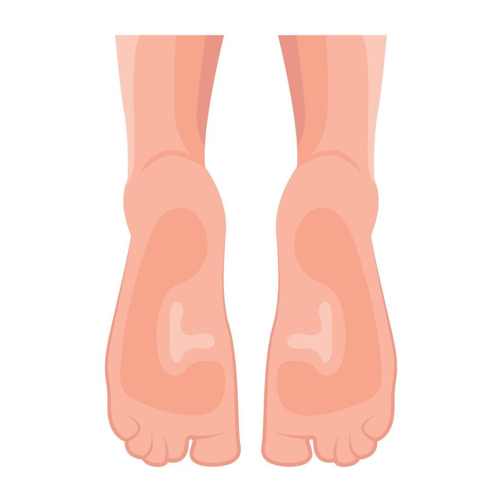WebA flat style icon of soft soles vector