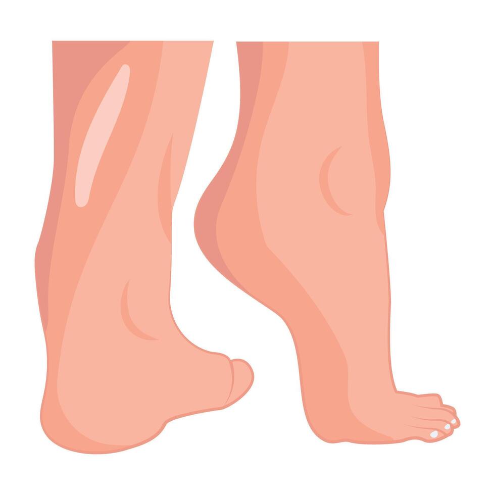 WebA flat icon of female soles vector