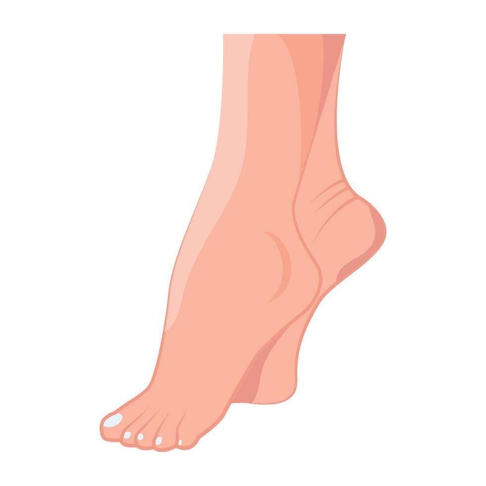 WebFlat style icon of lady toes vector