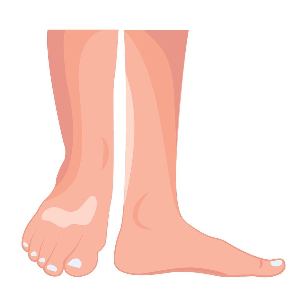 WebAn icon of girl feet in flat style vector