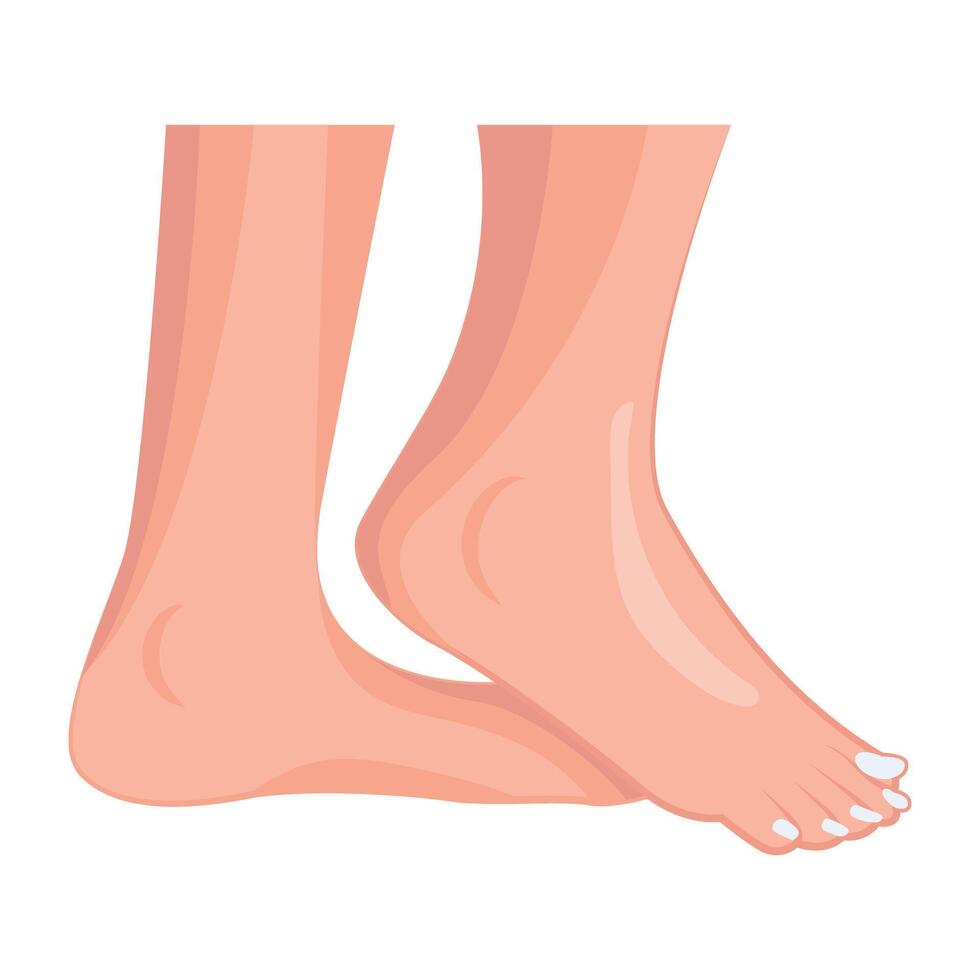 WebSoft feet icon designed in flat style vector