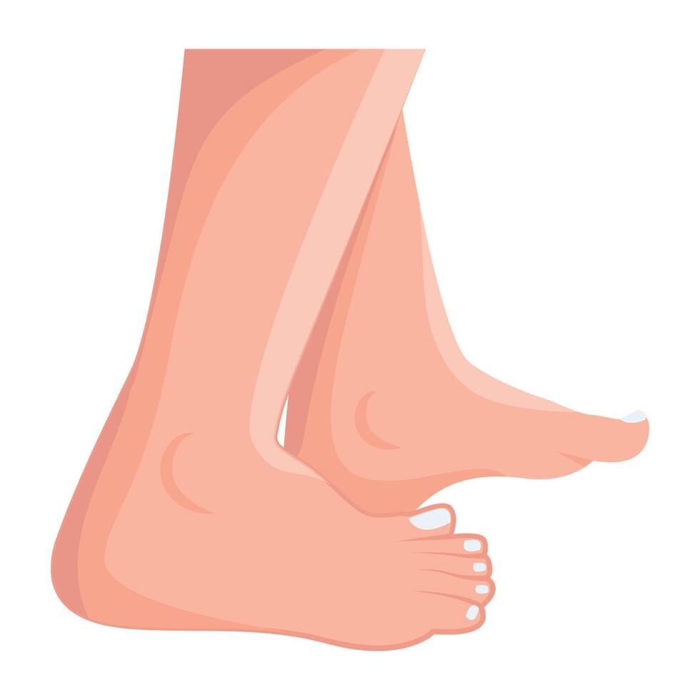 WebA flat icon of woman feet vector