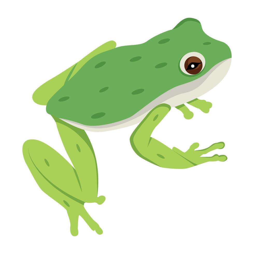 WebA flat style icon of cute amphibian vector