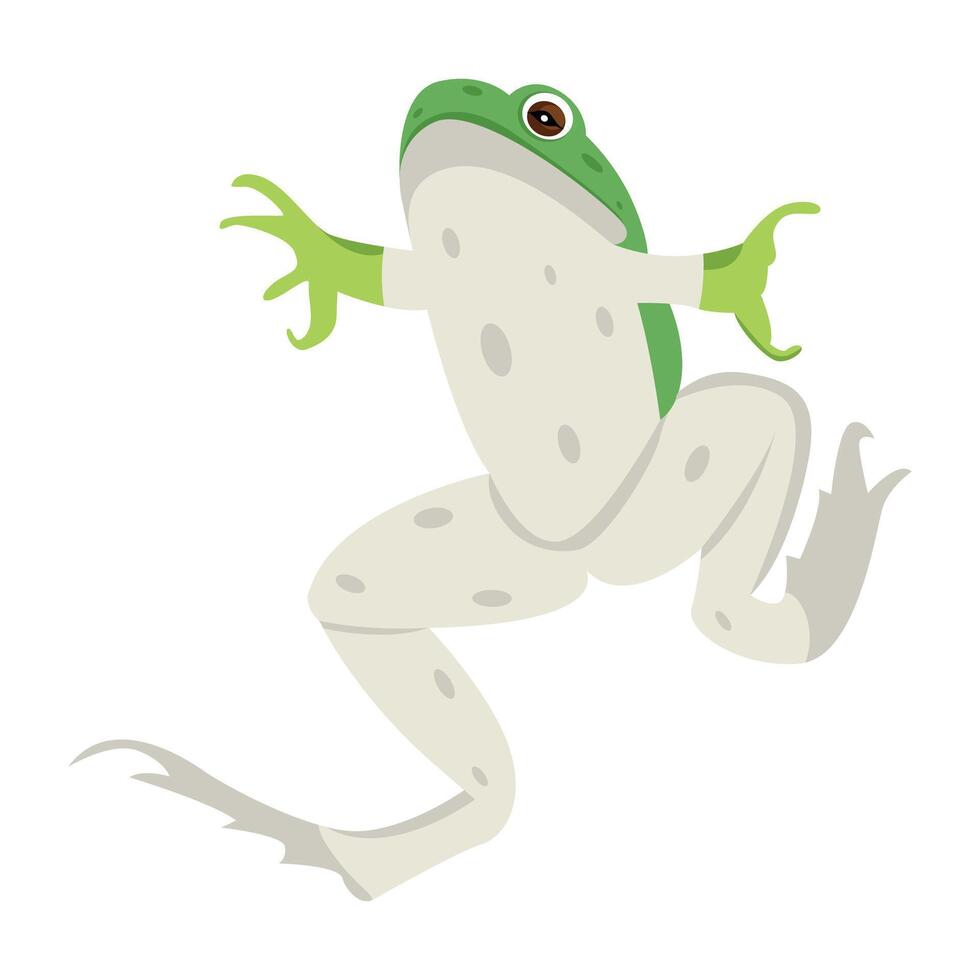 WebA flat icon of tailless amphibian vector