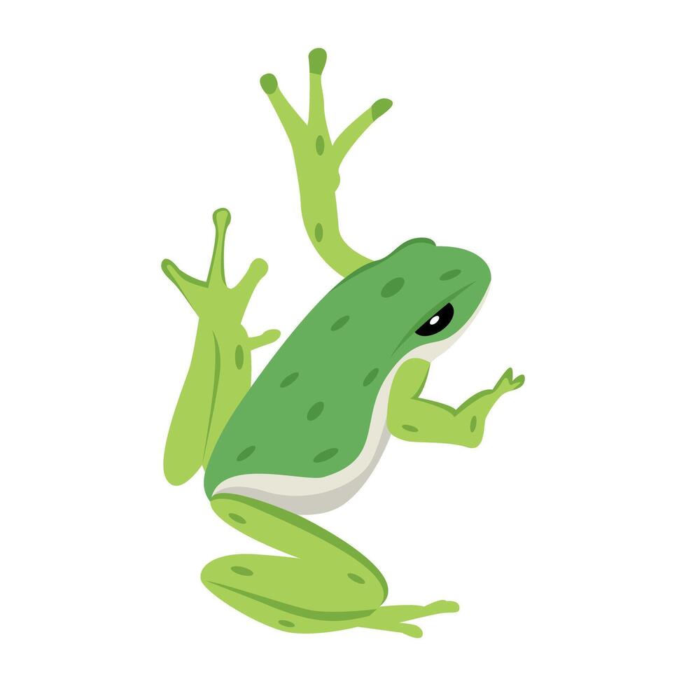 WebFrog mascot icon in flat style vector
