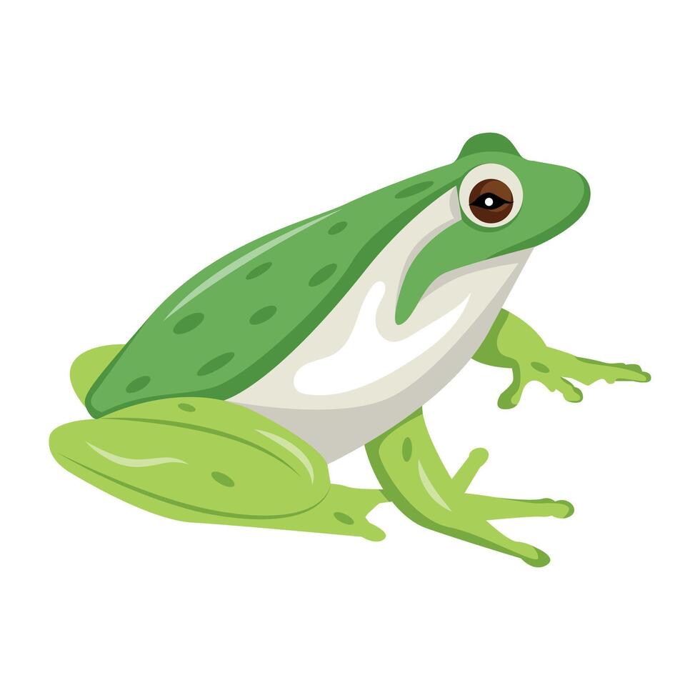 WeA flat style icon of pond frog b vector