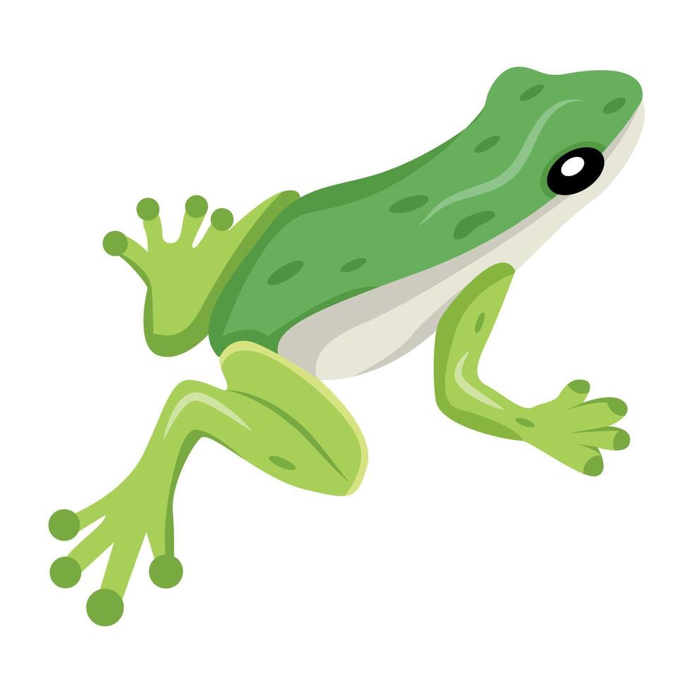 WebGrass frog icon in flat style vector