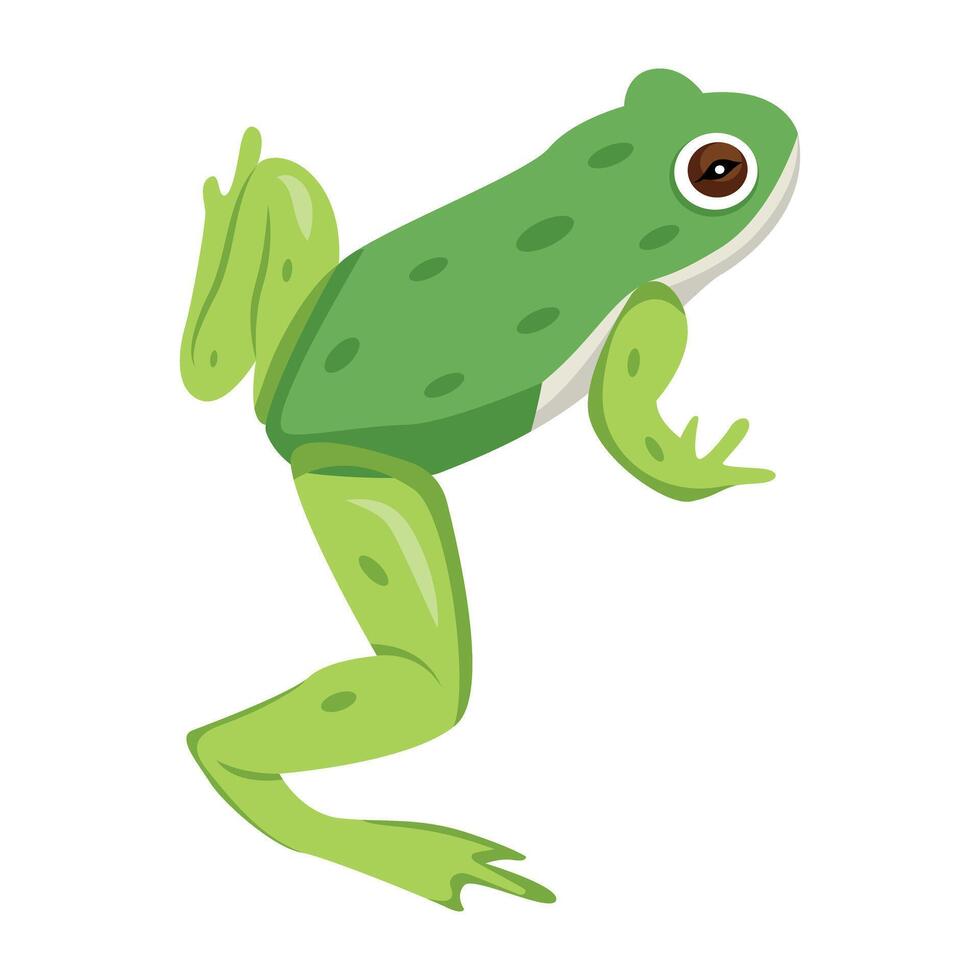 WebA flat icon of rana tigrina vector