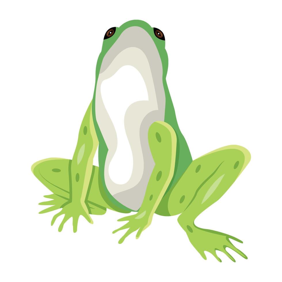 WebA flat style icon of grass frog vector
