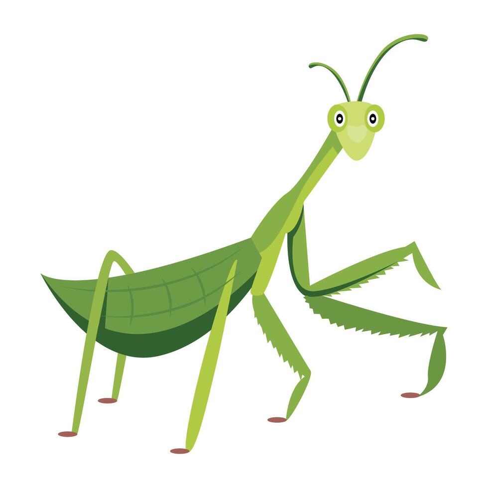 WebForest mantis icon designed in flat style vector