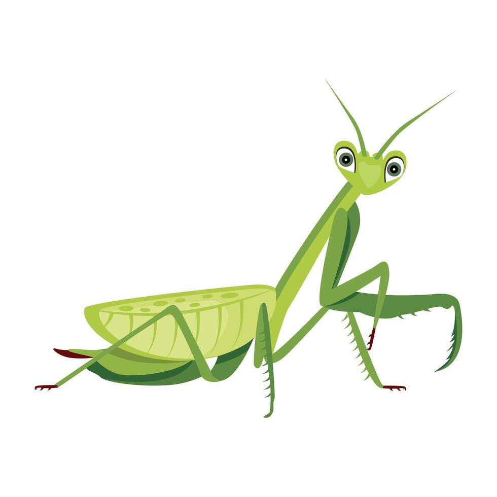 WebThis flat icon depicting cute praying mantis vector