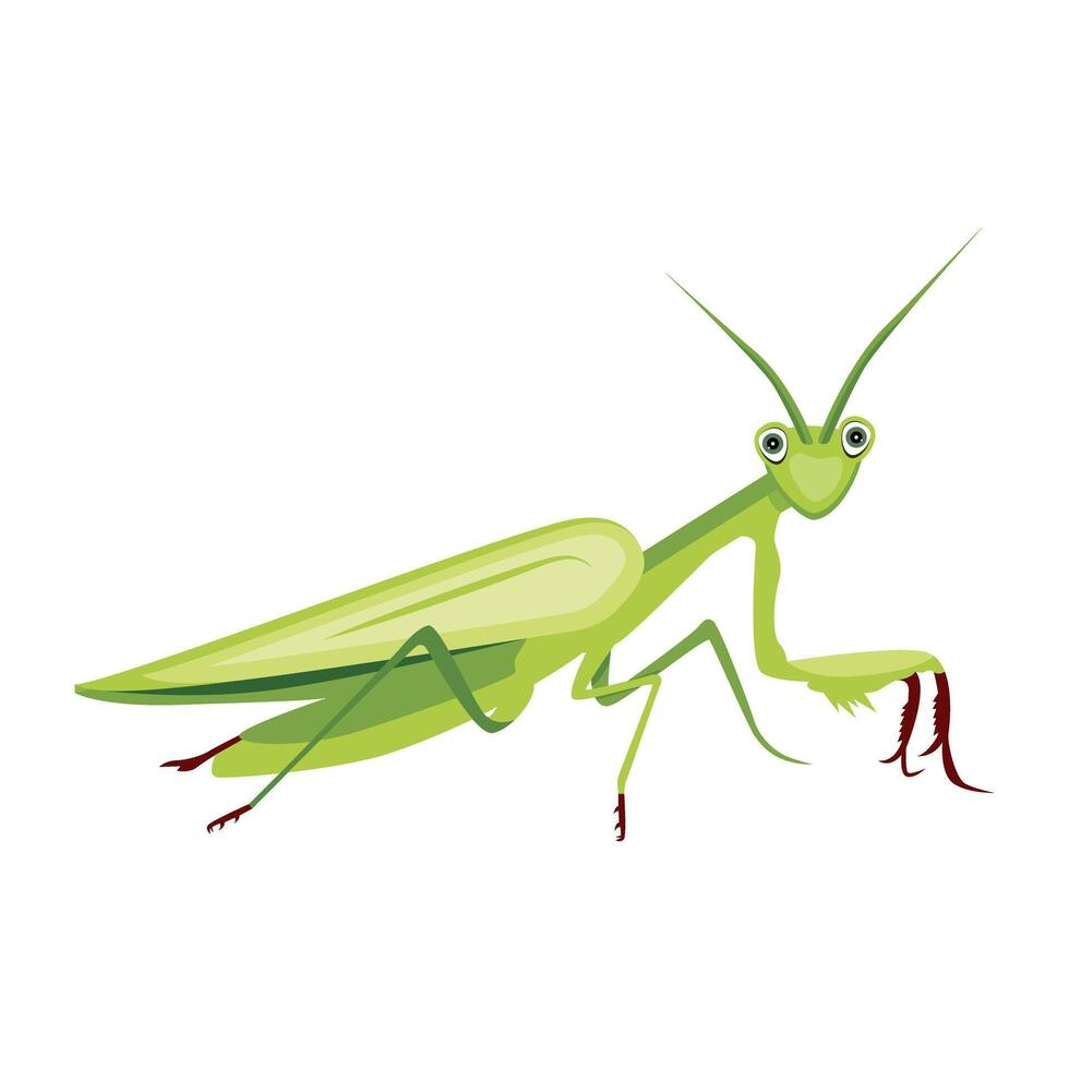 WebAn icon of mantodea insect in flat style vector