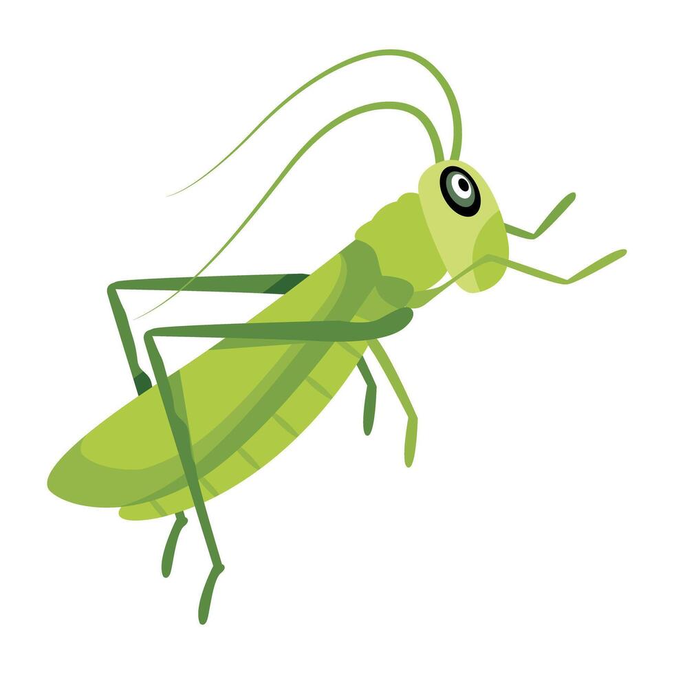 WebA flat style icon of chinese mantis vector