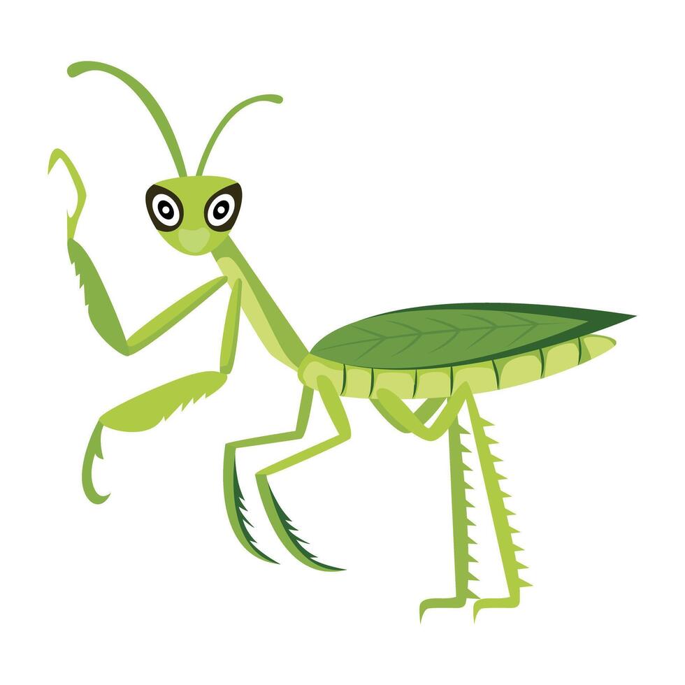 WebA flat style icon of cute mantis vector